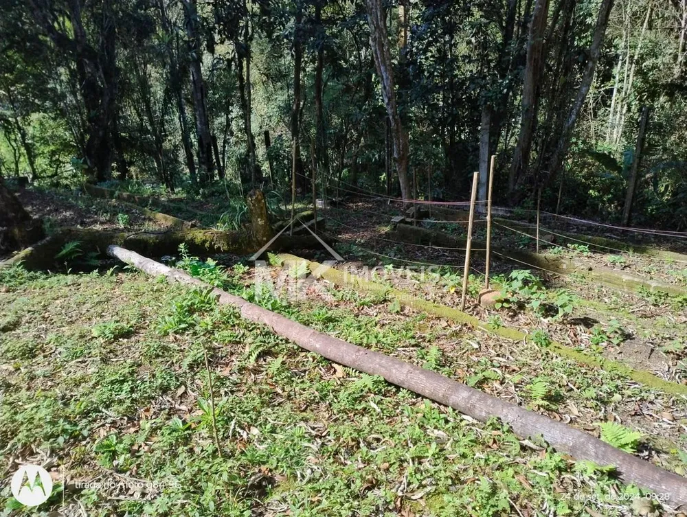 Chácara, 3 quartos, 5000 m² - Foto 4