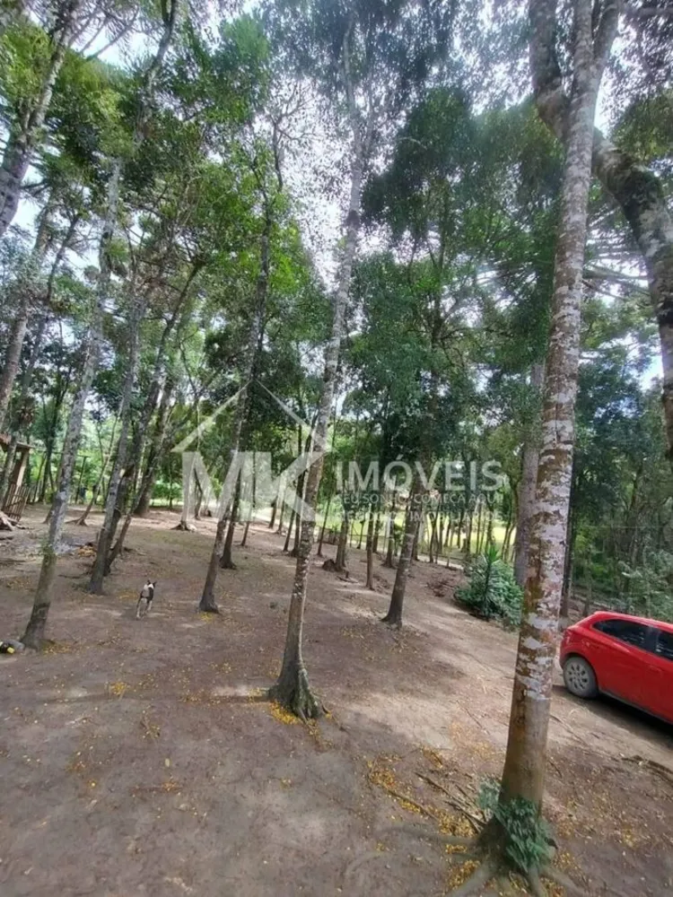 Chácara, 3 quartos, 2500 m² - Foto 1