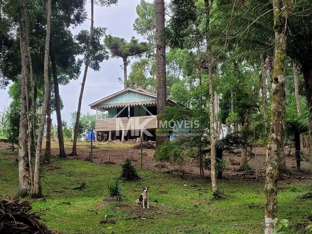 Chácara, 3 quartos, 2500 m² - Foto 1