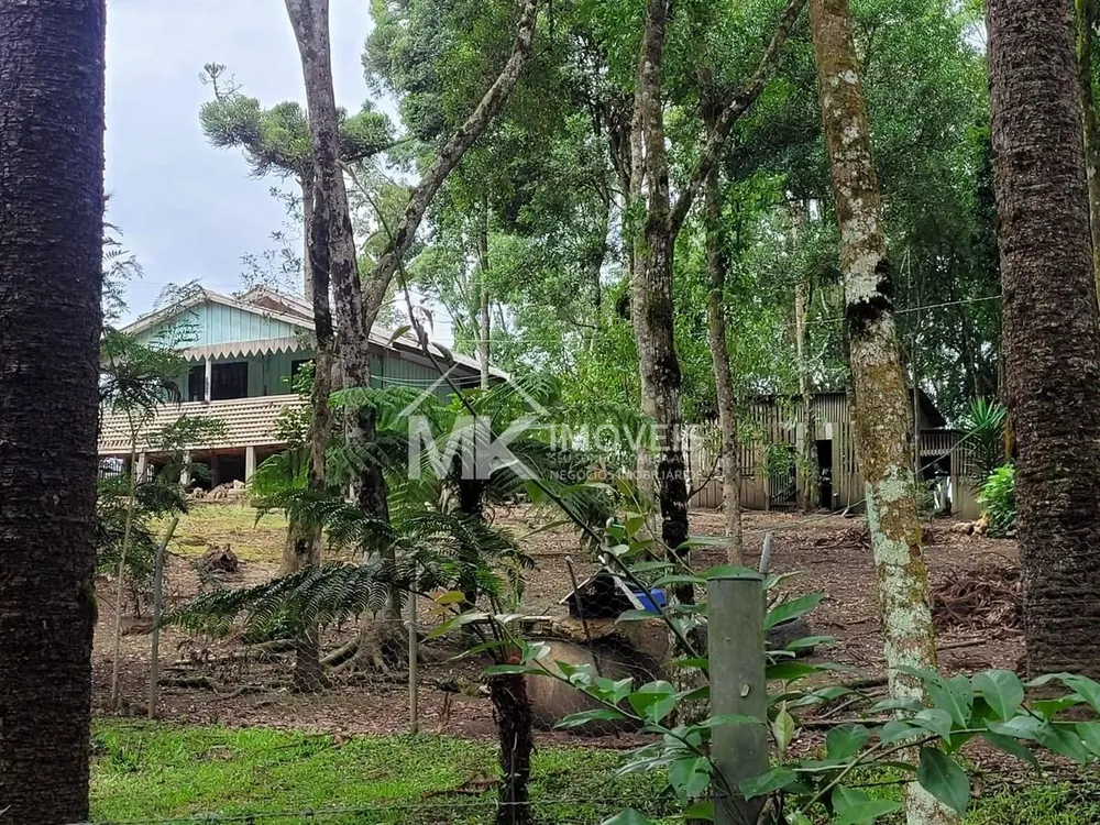 Chácara, 3 quartos, 2500 m² - Foto 6