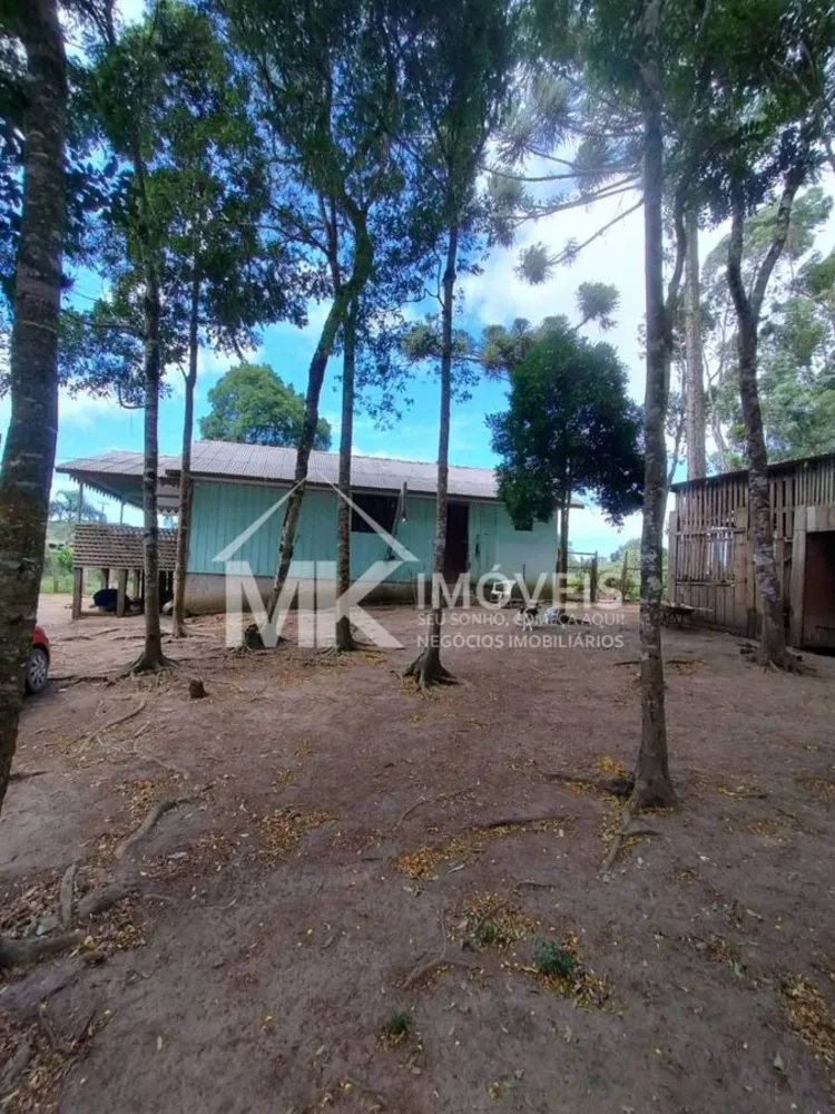 Chácara, 3 quartos, 2500 m² - Foto 6