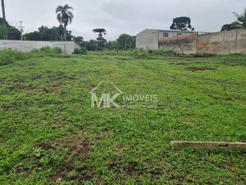 Terreno - Foto 3