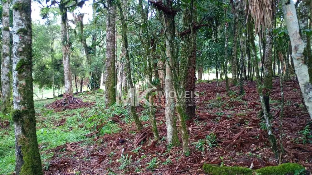 Chácara, 2 hectares - Foto 16