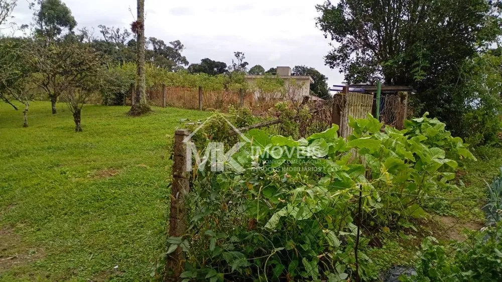 Chácara, 2 hectares - Foto 14