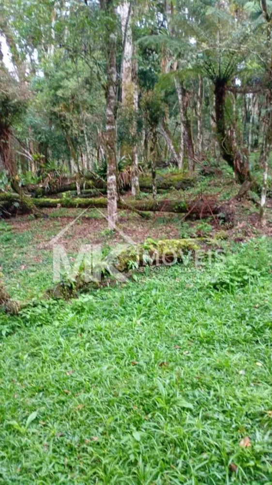 Chácara, 2 hectares - Foto 15