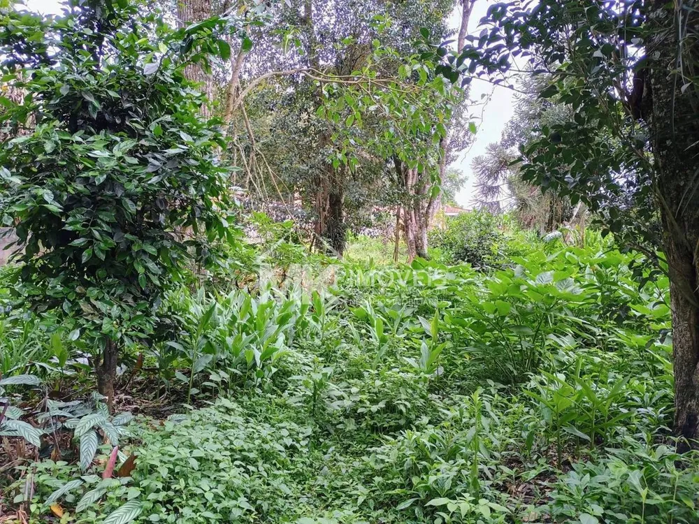 Terreno - Foto 4