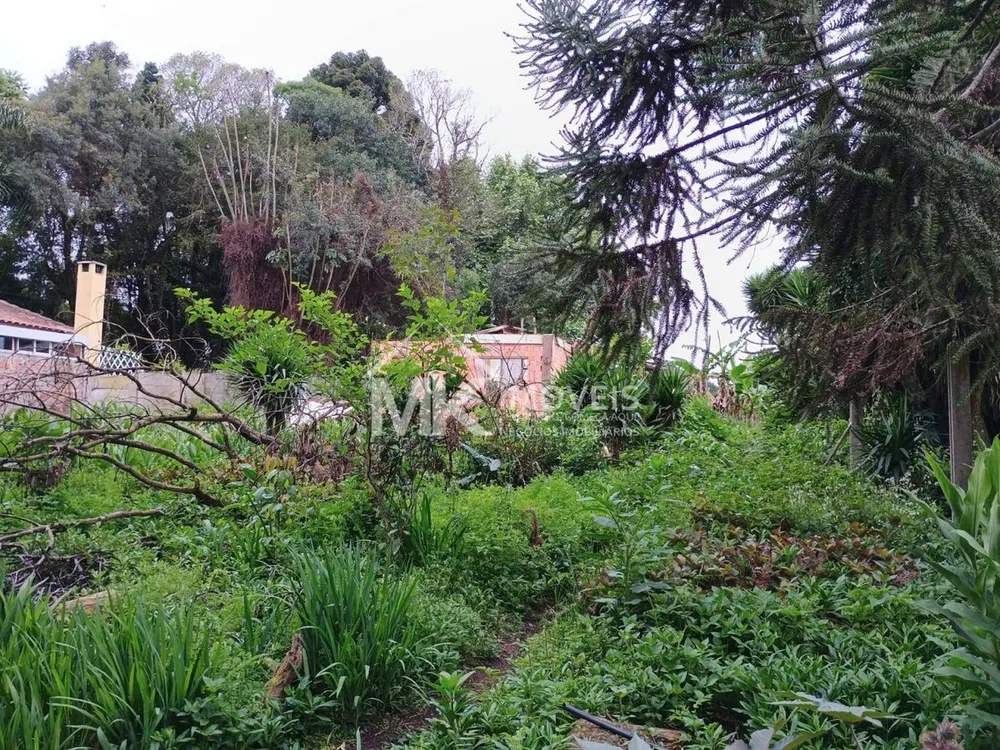 Terreno - Foto 6
