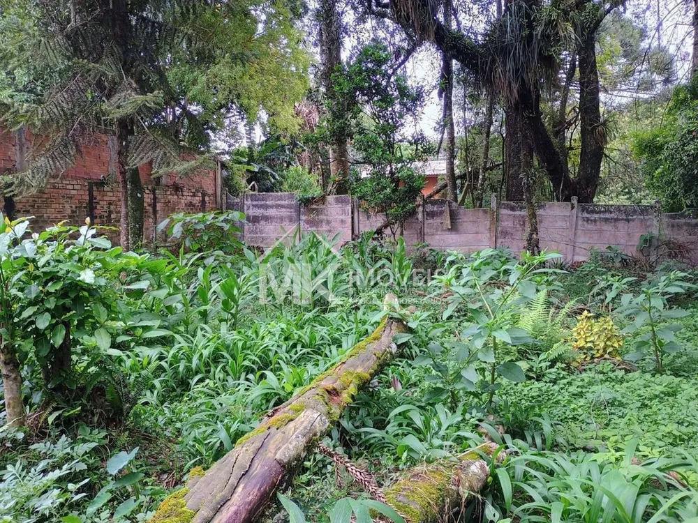 Terreno - Foto 5