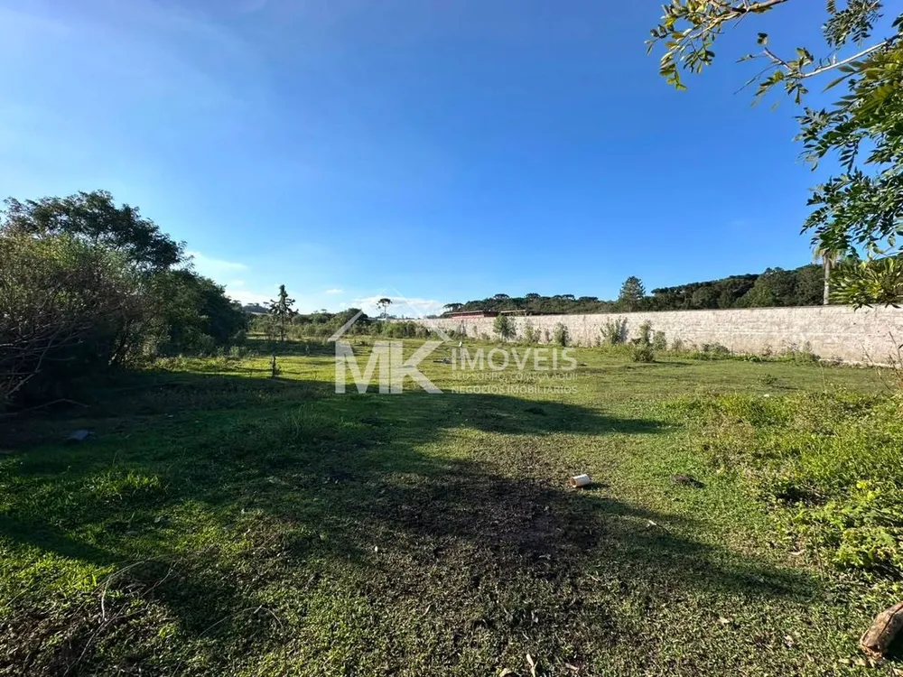 Terreno, 5008 m² - Foto 3