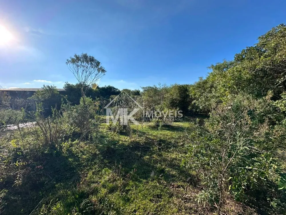 Terreno, 5008 m² - Foto 8