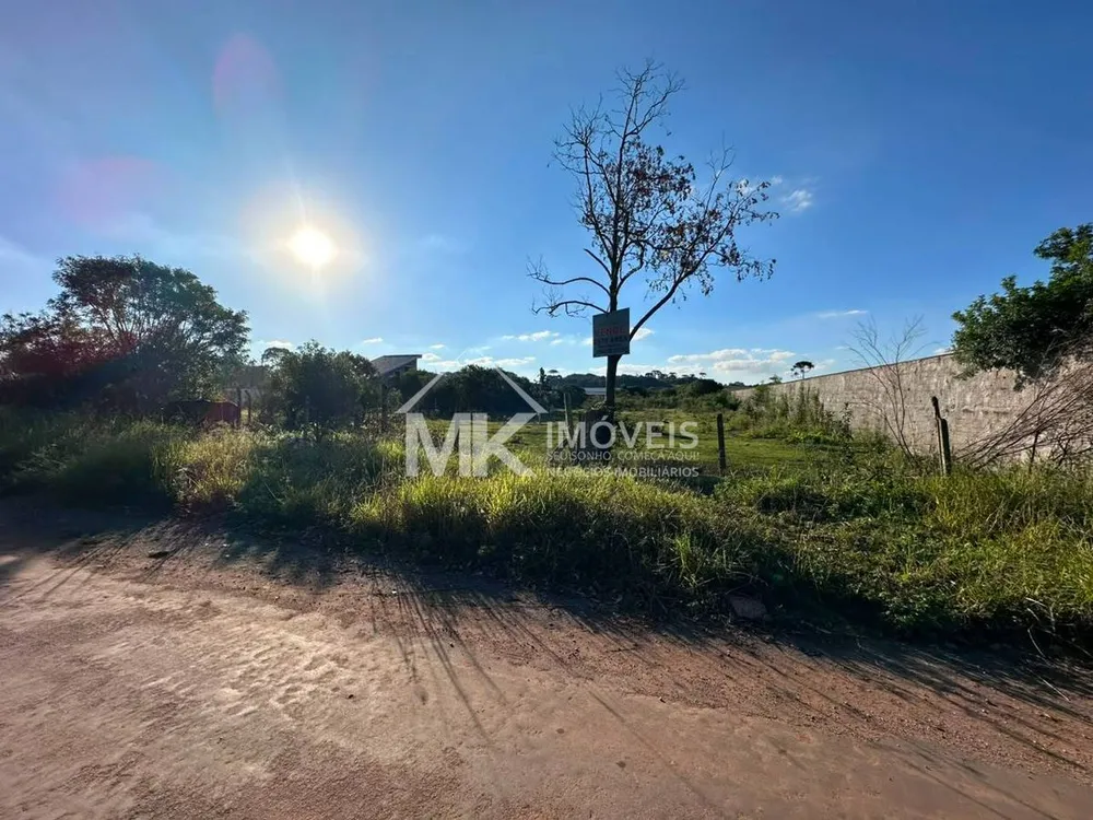 Terreno, 5008 m² - Foto 11