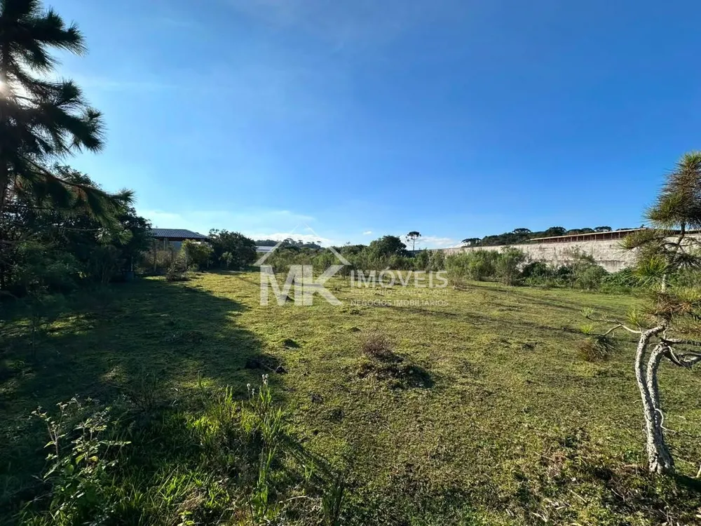 Terreno, 5008 m² - Foto 14