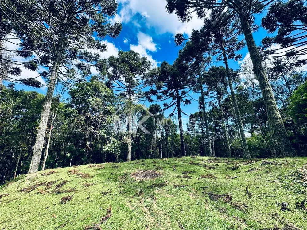Chácara, 5 hectares - Foto 12