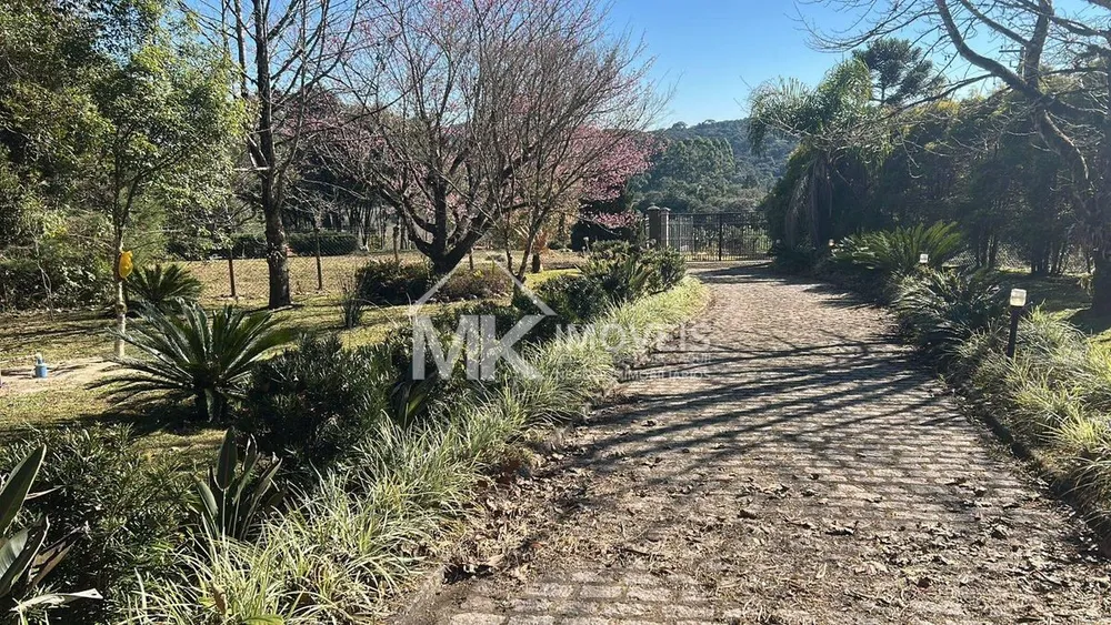 Chácara, 4 quartos, 2 hectares - Foto 7