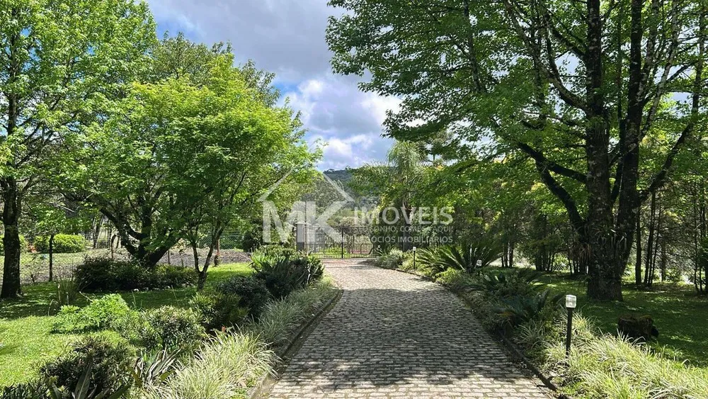 Chácara, 4 quartos, 2 hectares - Foto 12