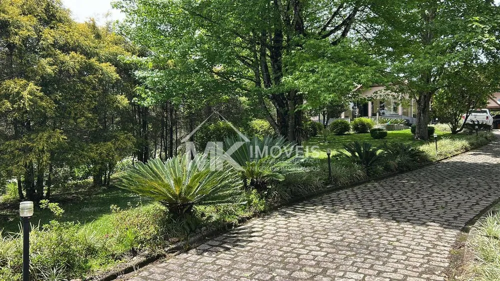 Chácara, 4 quartos, 2 hectares - Foto 11