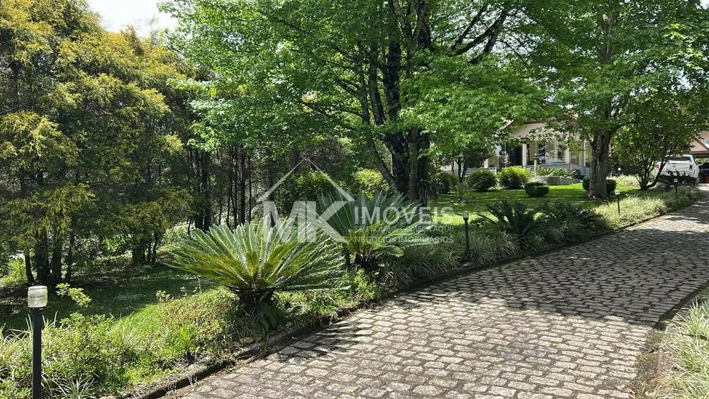 Chácara, 4 quartos, 2 hectares - Foto 9