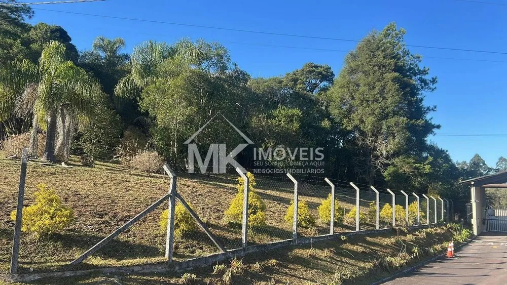 Chácara, 4 quartos, 2 hectares - Foto 3