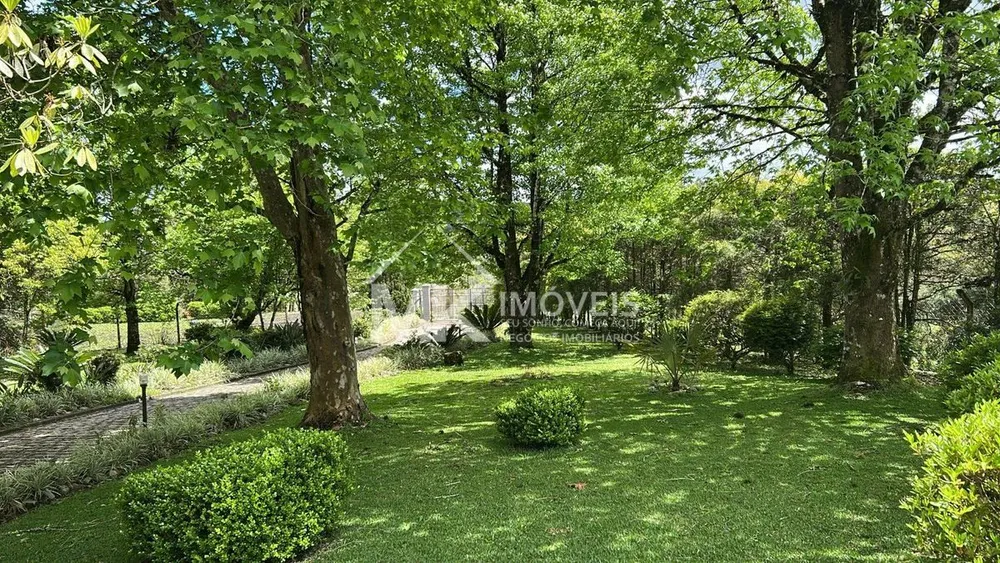 Chácara, 4 quartos, 2 hectares - Foto 6