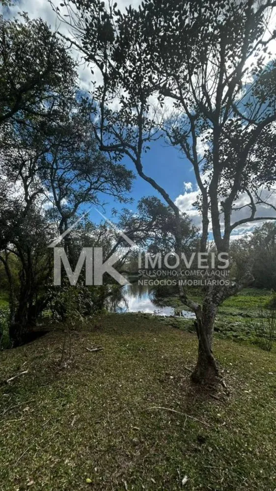 Chácara, 2 hectares - Foto 3