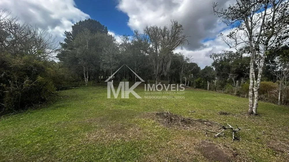Chácara, 2 hectares - Foto 2