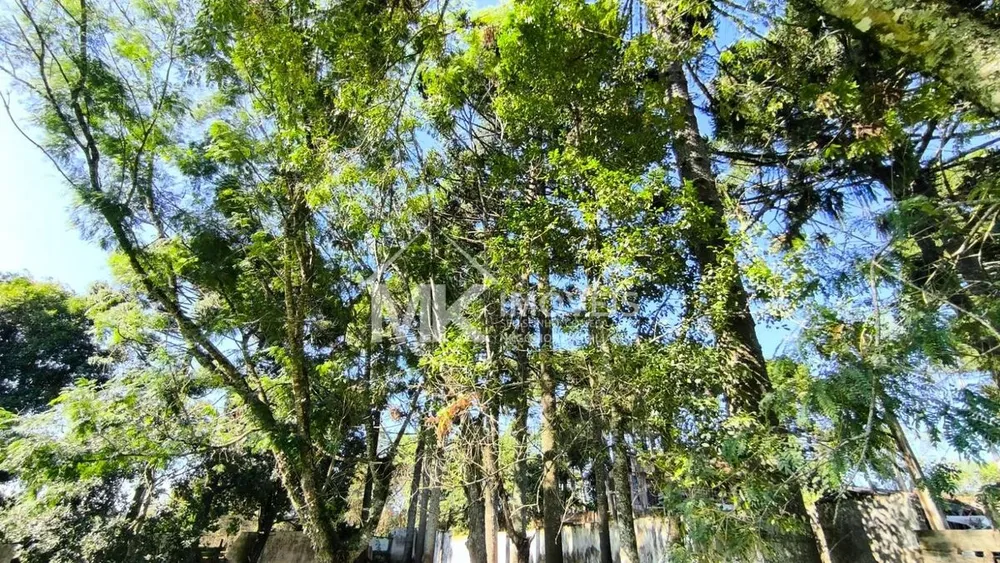 Terreno, 5600 m² - Foto 4