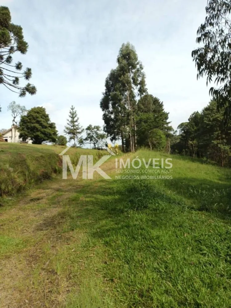 Chácara, 3 quartos, 2 hectares - Foto 11