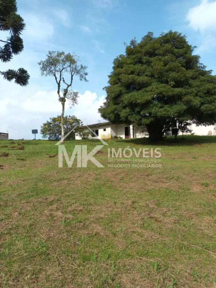 Chácara, 3 quartos, 2 hectares - Foto 12