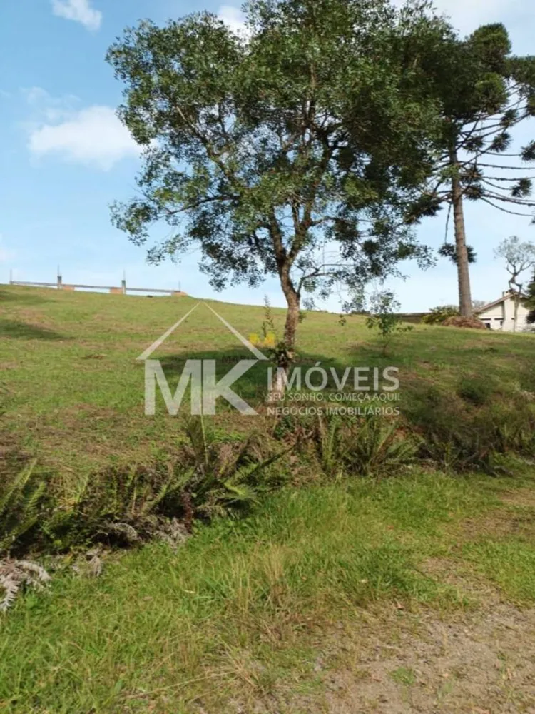 Chácara, 3 quartos, 2 hectares - Foto 10