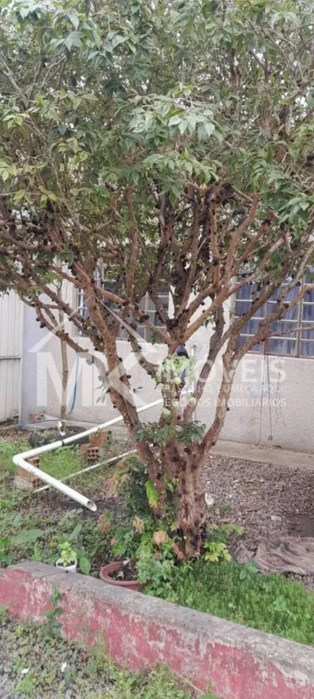 Casa, 2 quartos, 140 m² - Foto 15