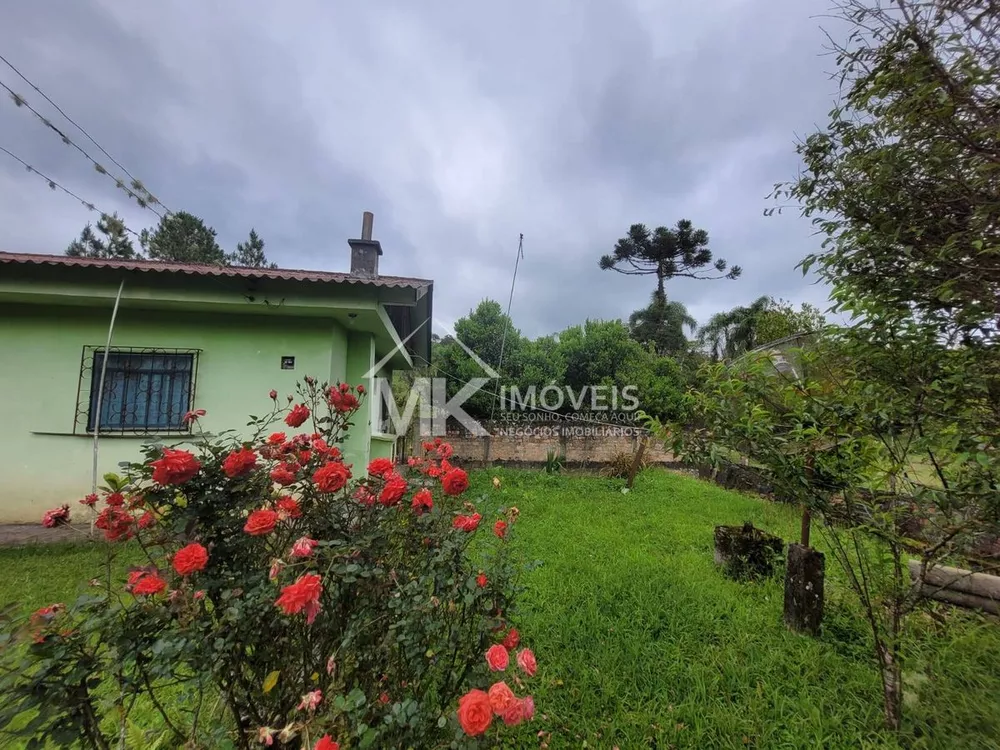 Fazenda à venda com 2 quartos, 90m² - Foto 3