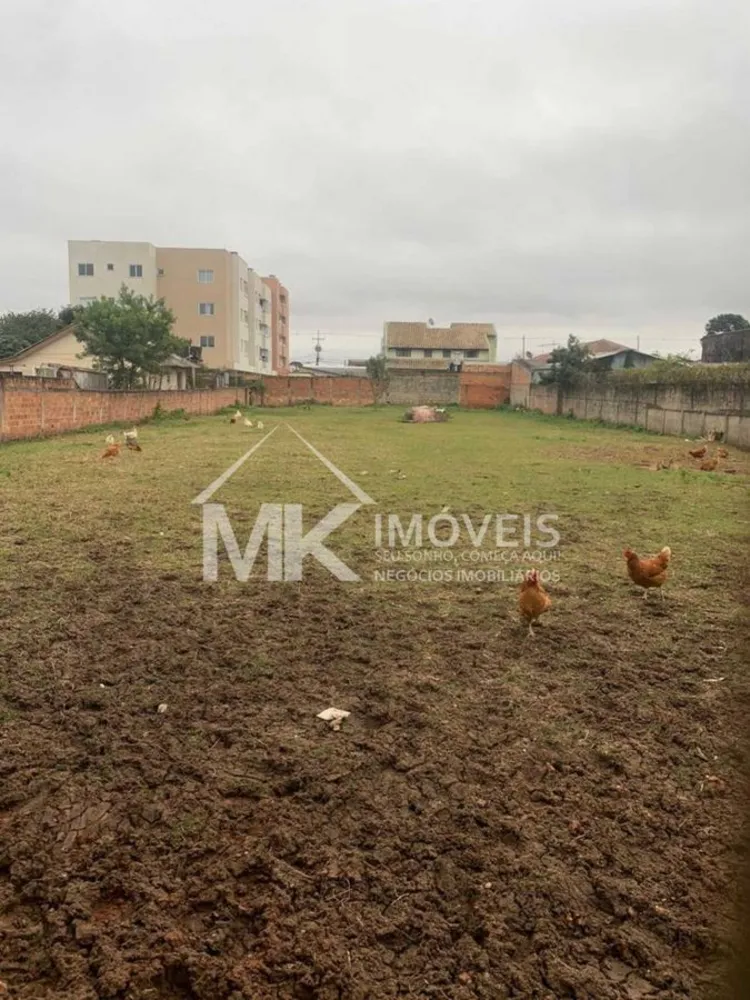 Terreno, 1200 m² - Foto 6