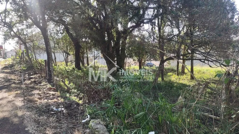 Terreno, 1521 m² - Foto 8