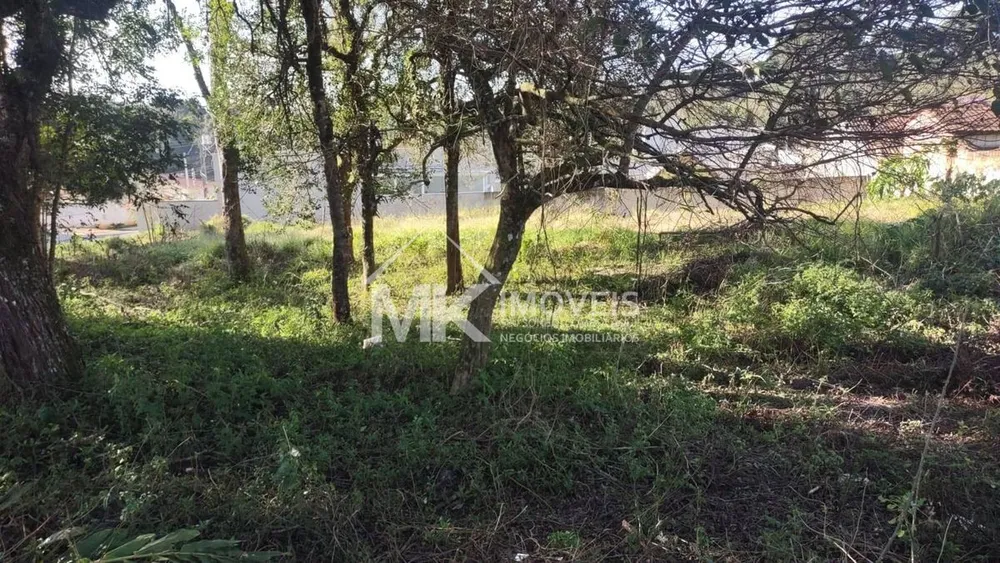 Terreno, 1521 m² - Foto 7
