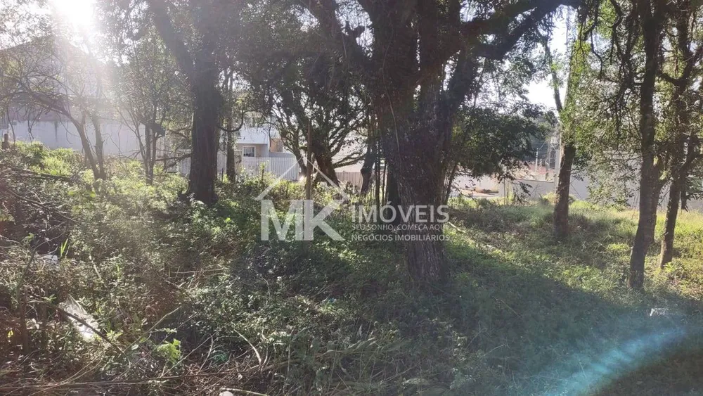 Terreno, 1521 m² - Foto 9