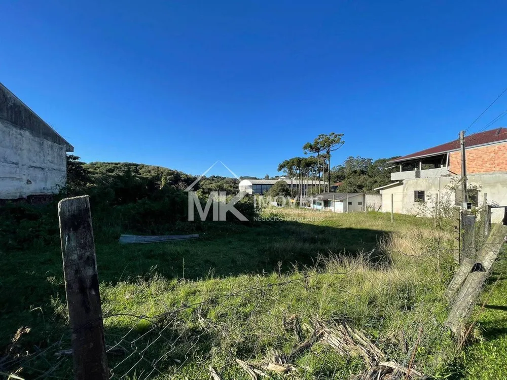 Terreno, 3669 m² - Foto 1