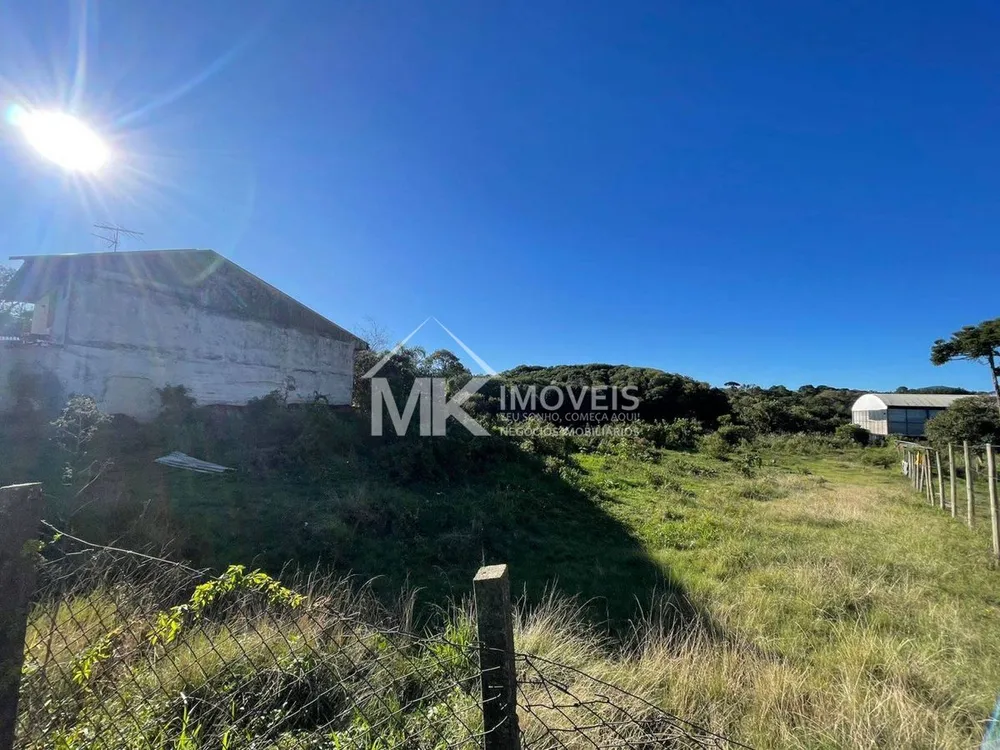 Terreno, 3669 m² - Foto 4