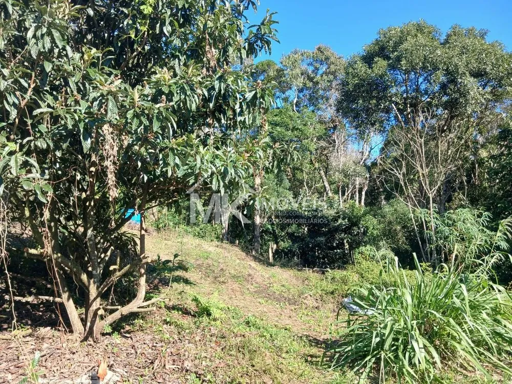 Chácara, 2 hectares - Foto 16