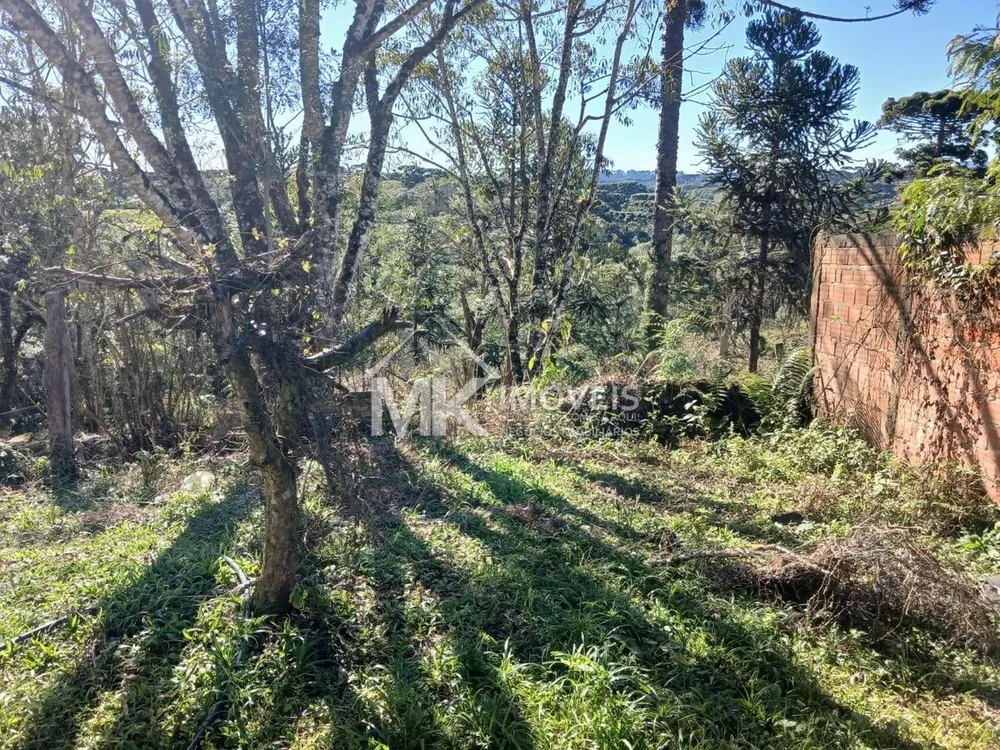 Chácara, 2 hectares - Foto 3