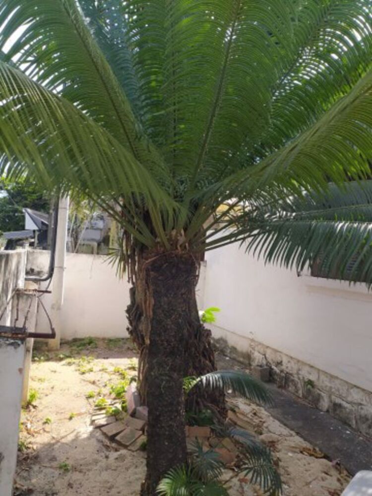 Casa, 2 quartos, 122 m² - Foto 29