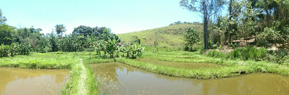 Sítio, 5 quartos, 4 hectares - Foto 1