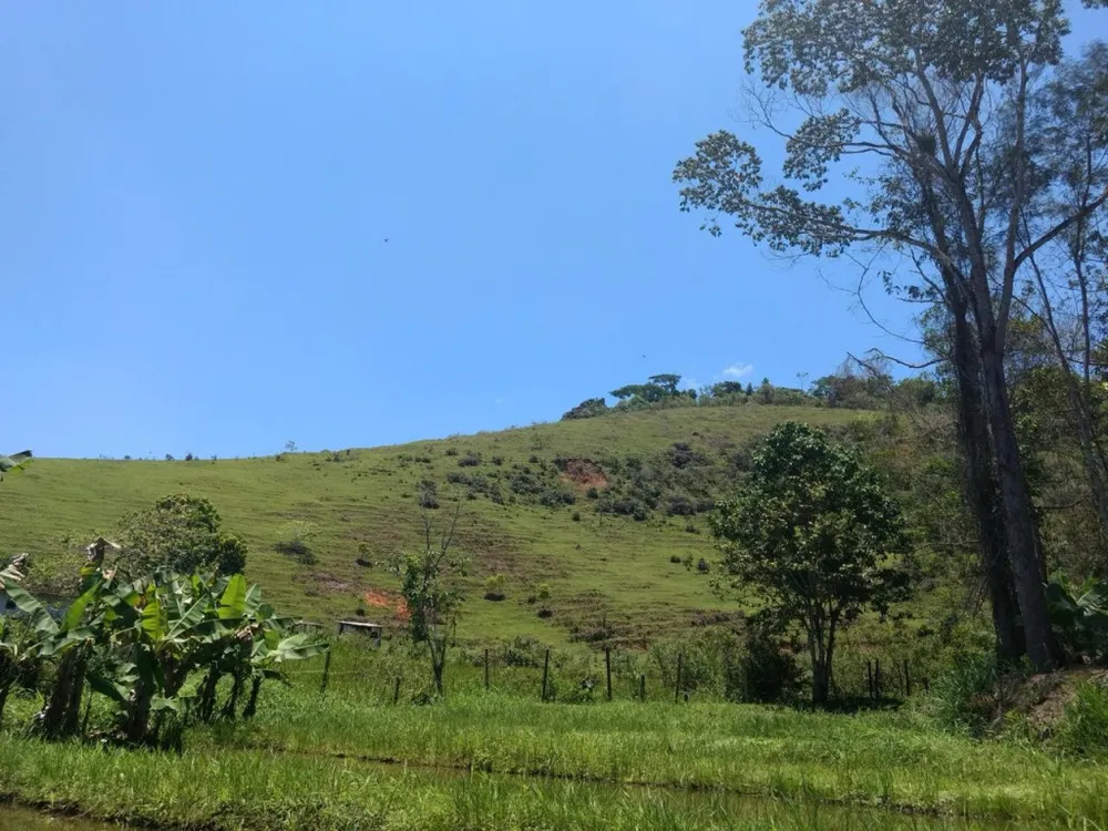 Sítio, 5 quartos, 4 hectares - Foto 12