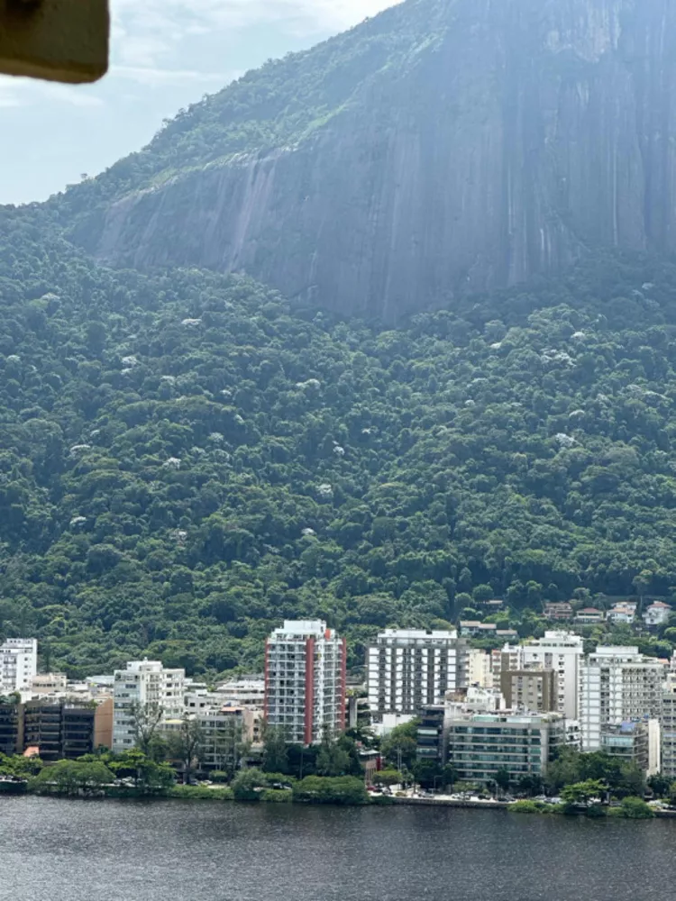 Apartamento, 3 quartos, 230 m² - Foto 2