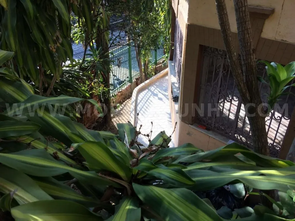 Casa, 4 quartos, 700 m² - Foto 3