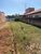 Terreno, 125 m² - Foto 4