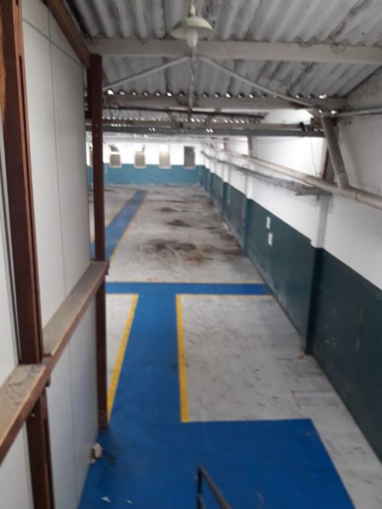Depósito-Galpão, 1000 m² - Foto 4