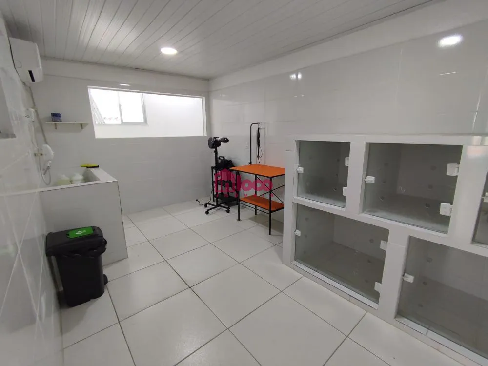 Depósito-Galpão, 500 m² - Foto 12