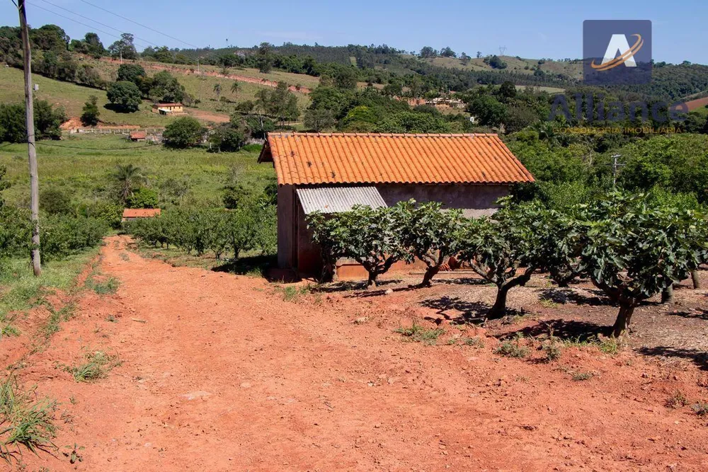 Sítio, 6 hectares - Foto 9