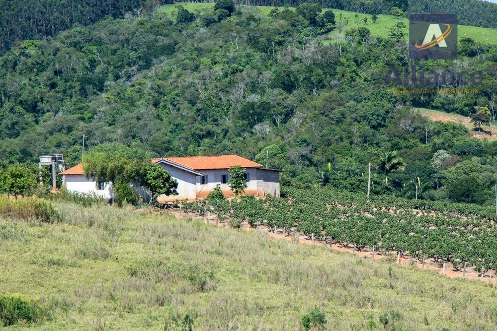 Sítio, 6 hectares - Foto 7