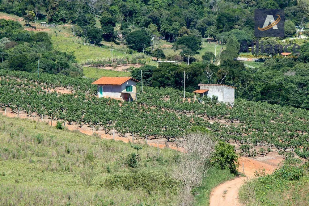 Sítio, 6 hectares - Foto 1